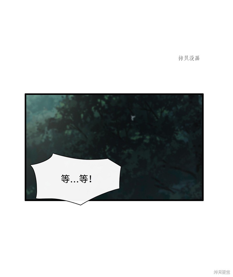 《图腾领域》第73话第46页