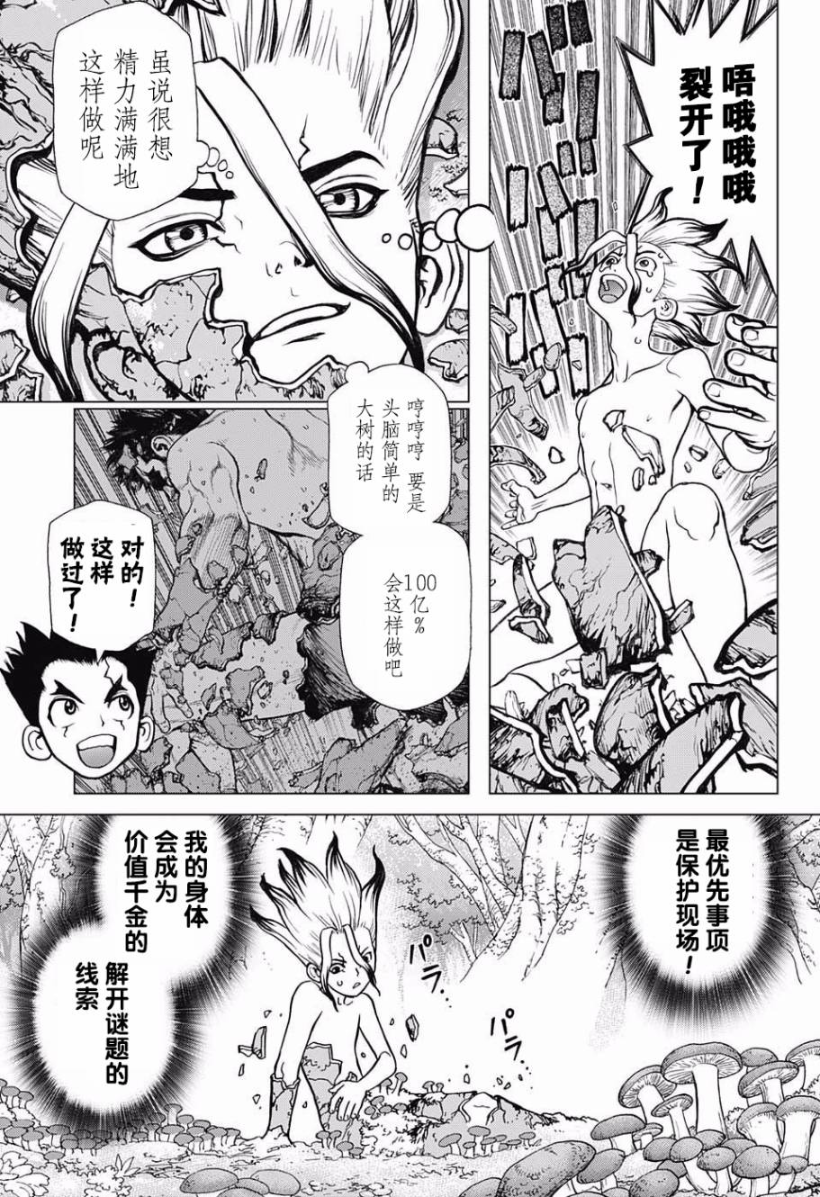 《Dr.STONE》13话第3页