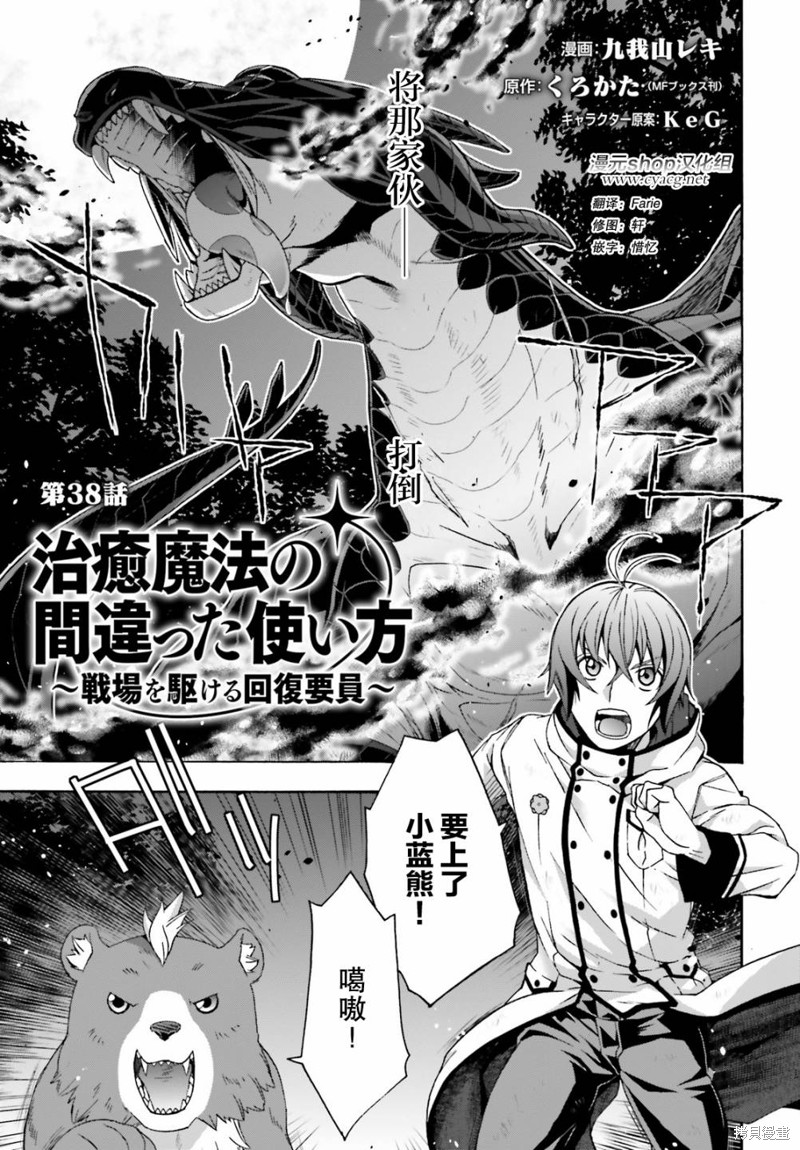 《治愈魔法的错误使用方法》第38话第1页