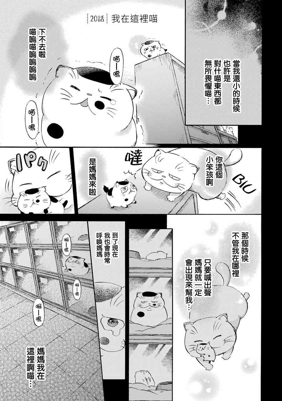 《大叔与猫》27话第1页