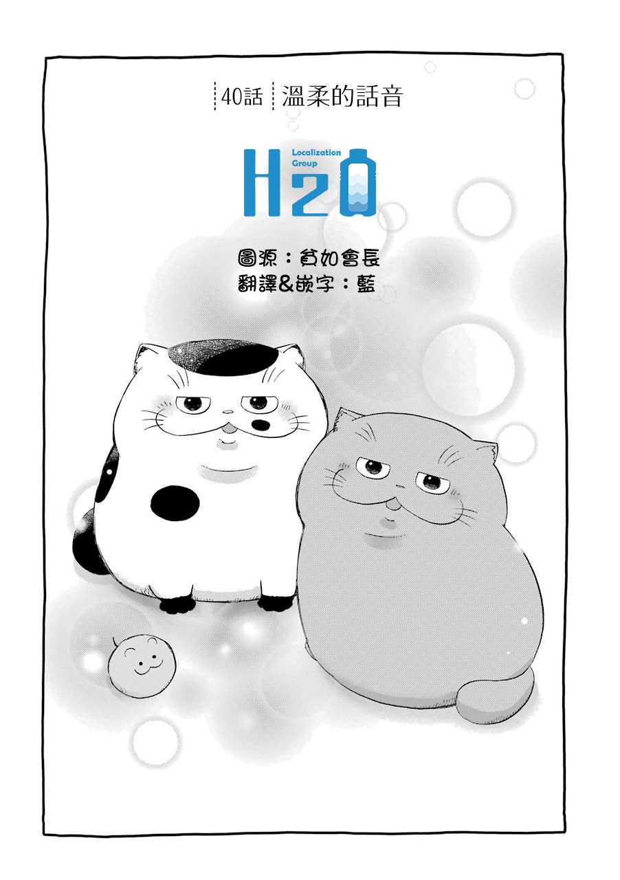 《大叔与猫》40话第2页