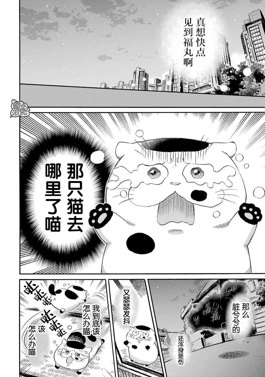 《大叔与猫》49话第4页