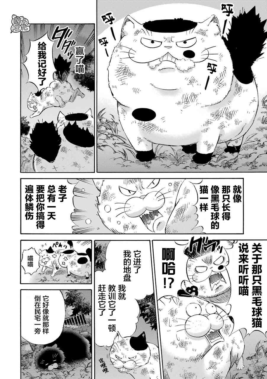 《大叔与猫》52话第6页