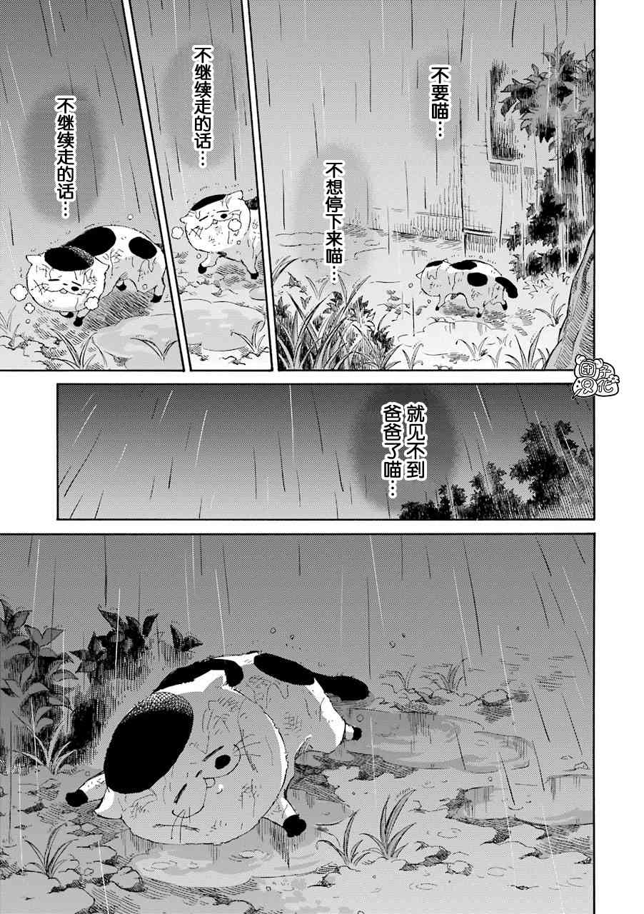 《大叔与猫》54话第9页