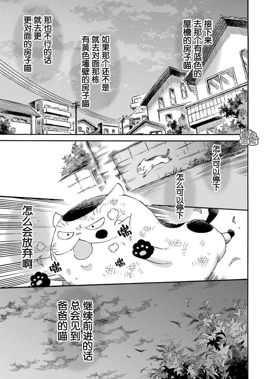 《大叔与猫》54话第5页