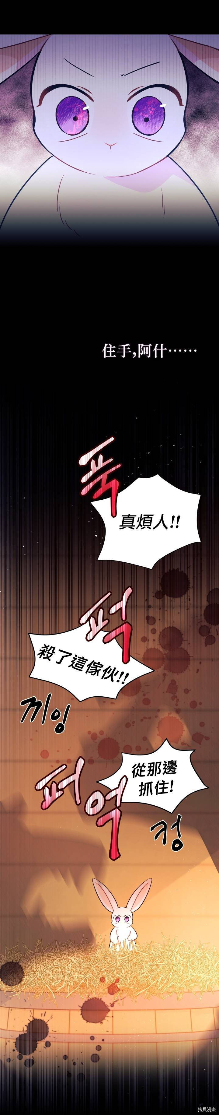 《兔子与黑豹的共生关系》第28话第20页